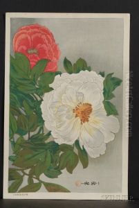 Peonies by Kazumaru