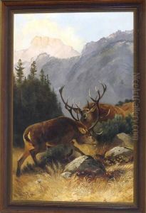 Zwei Kampfende Hirsche Im Gebirge by Otto Keck
