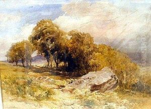 On The Hillside Near Bontnewydd, North Wales by John Keeley