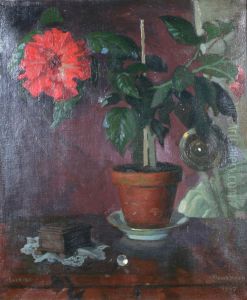 Rod Hibiskus