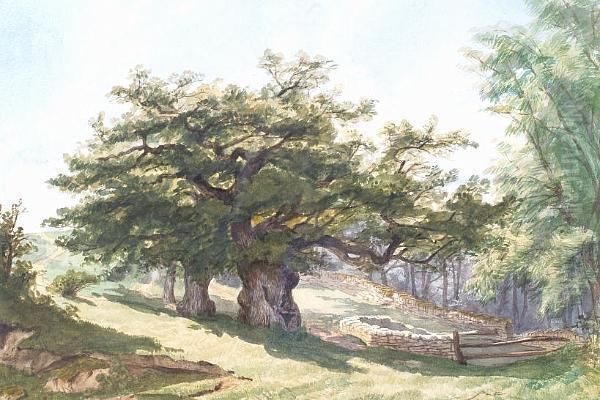 "lansdown - view 1