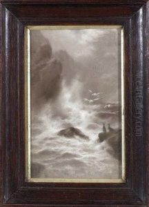 A Rocky Shore With Sea Birds - Monochrome by Elmer Keene
