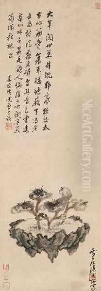 Lingzhi - view 1