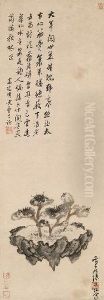 Lingzhi Lingzhi