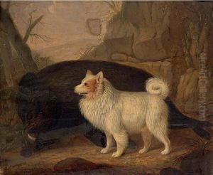 A Dog And A Slain Boar; A Dog