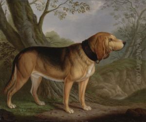 A Bloodhound In A Landscape