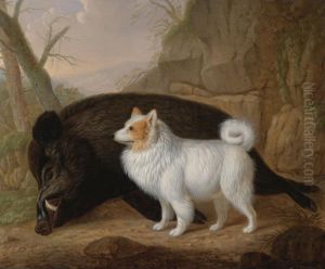 A Giant German Spitz With A Wild Boar by Christian Wilhelm K. Kehrer
