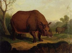 Rhinoceros