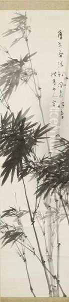 Bamboos - view 1