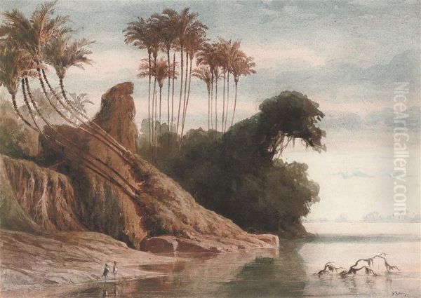 Brazilian River Landscape - view 1