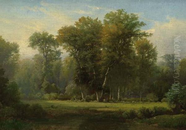 View Of A Clearing In The Forest. - view 1