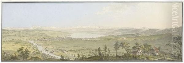 Blick Von Der Waid Ueber Zurich Hinweg Zum Alpenpanorama - view 1