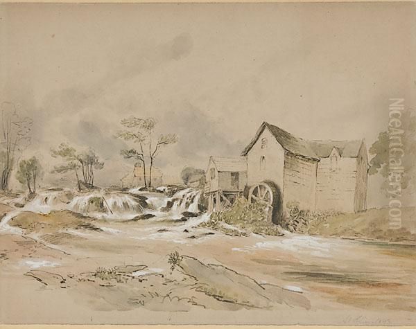 Landscape - view 1
