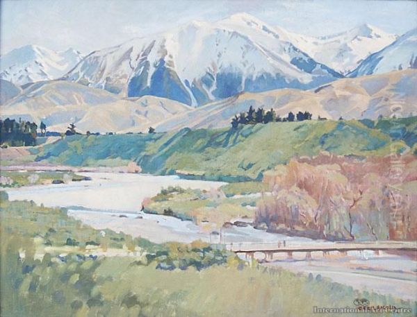 Kowhai River, Waimakariri - view 1