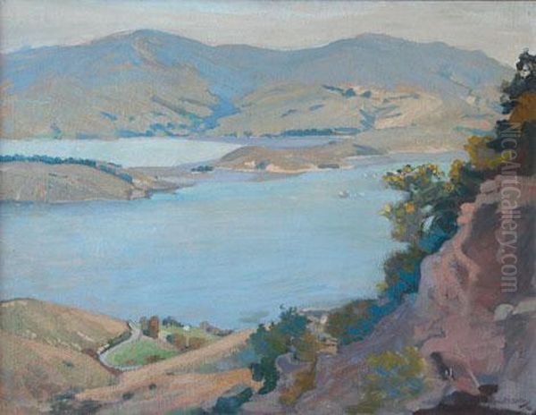 Lyttleton Harbour, Banks Peninsula - view 1