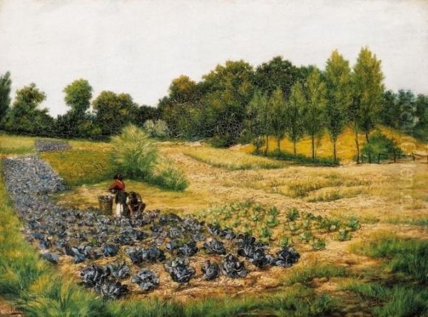 Atumn Afternoon In The Fields - view 1