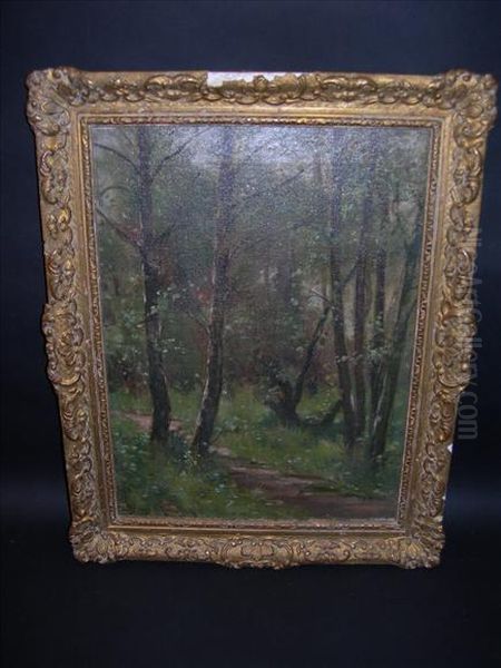 Woodland Scene - view 1