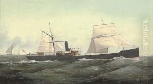The Steamer
Heriri The Steamer
Heriri