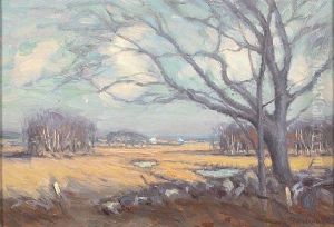 Landscape Scene