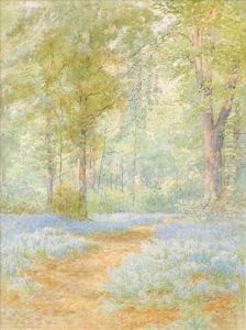 Althaus In Ayorkshire Wood