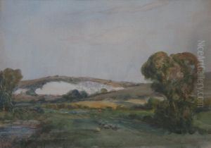 Pepper Quarry, Amberley, Sussex