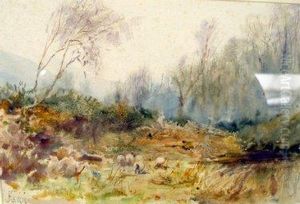 Sheep Grazing Sheep Grazing
