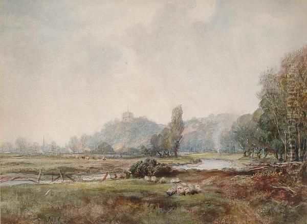 Sussex Landscape - view 1