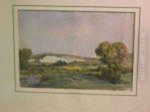 Sussex Southdowns - view 1