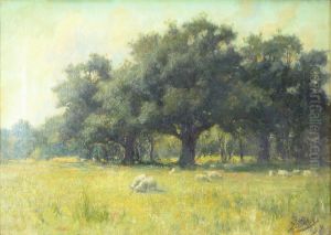 Evening, Ardencaple Wood by Peter Kerr