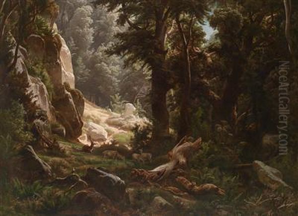 Red Deer In A Woodland - view 1