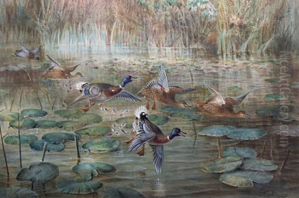 Ducks In The Lilies - view 1