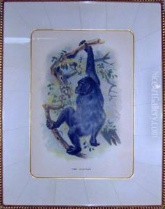 The Gorilla by Johan Gerard Keulemans