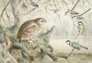 Group Of Ten Bird Studies In Two Frames by Johan Gerard Keulemans