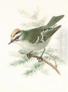 A Finch; An Exotic Bird; A Goldcrest by Johan Gerard Keulemans