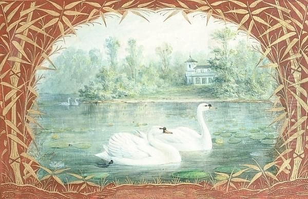 Swans; Coots; Mallards - view 1