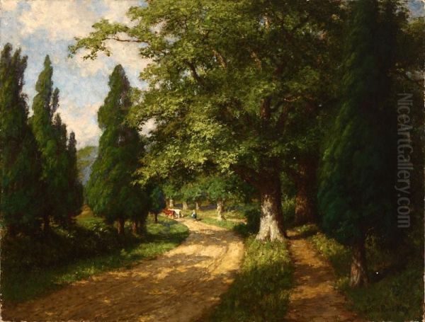 Summertime, Chain Bridge Road - view 1