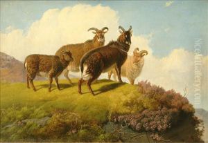 A Group Ofmountain Goats by Friedrich Wilhelm Keyl