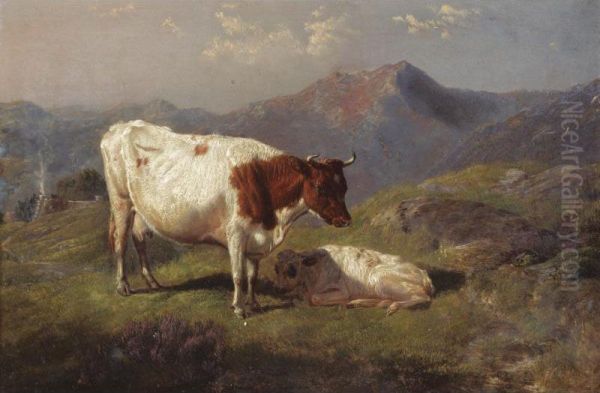 Hillside Cattle - view 1