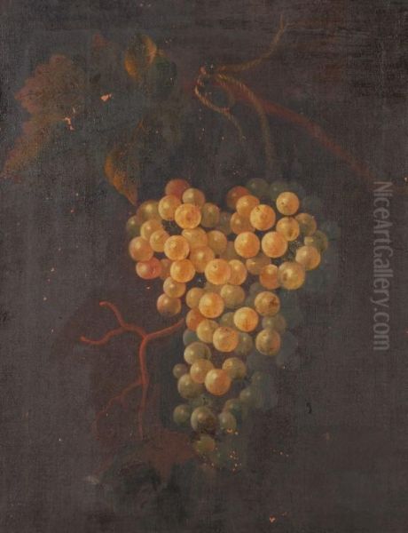 Still Life Of Grapes - view 1