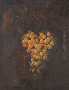 Still Life Of Grapes by Thomas Keyse Gloucester