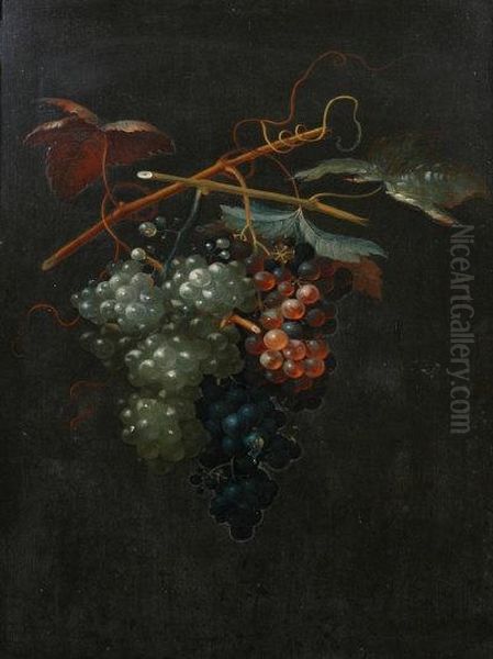 Grapes. - view 1