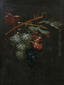 Grapes. by Thomas Keyse Gloucester