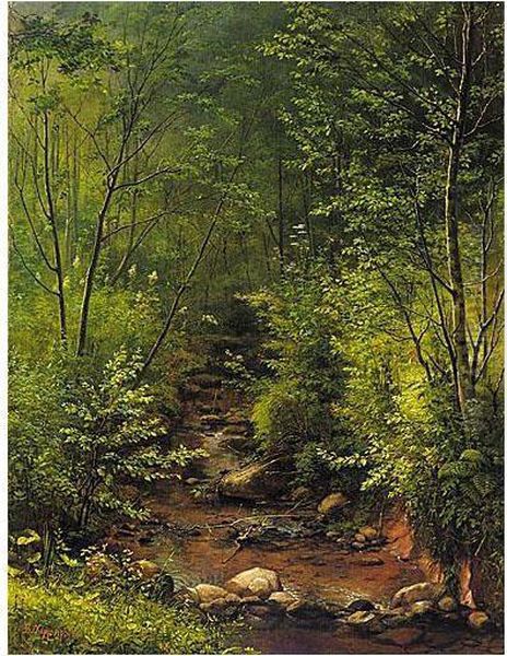 Woodland Path - view 1