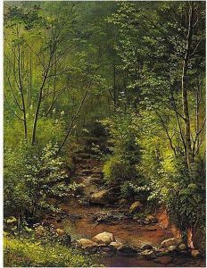 Woodland Path Woodland Path