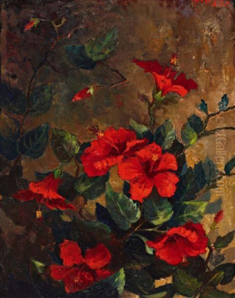 Hibiscus - view 1
