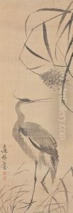 Black-crowned Night Heron by Yang Kihoon