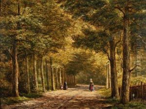 Boslaan Met Wandelaarsters