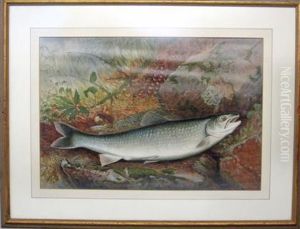 The Game Fishes Of The United States by Samuel A. Kilbourne