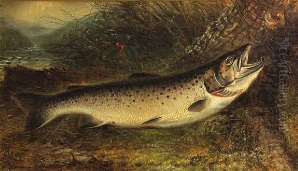 Trout On A River Bank - view 1