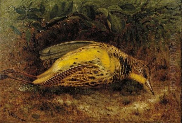 Meadow Lark - view 1